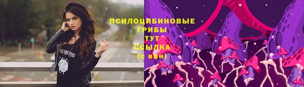 стафф Надым